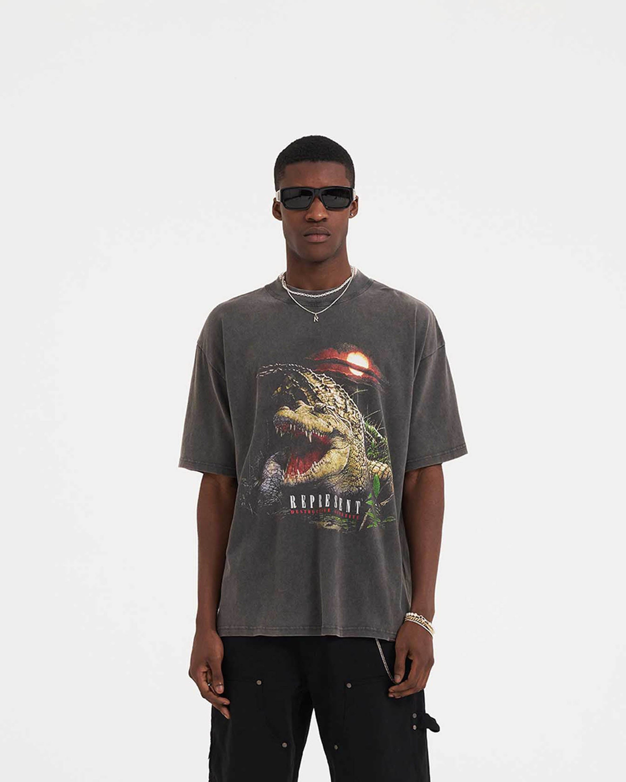 Destructive Appetite T-Shirt | Vintage Grey T-Shirts SS23 | Represent Clo