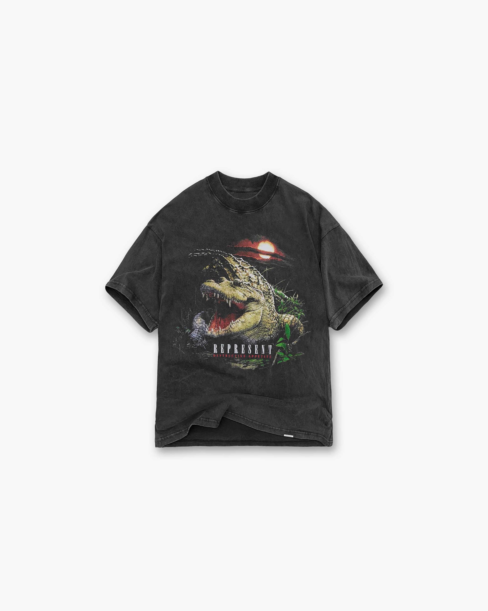 Destructive Appetite T-Shirt | Vintage Grey T-Shirts SS23 | Represent Clo